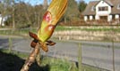 Bogø netop nu